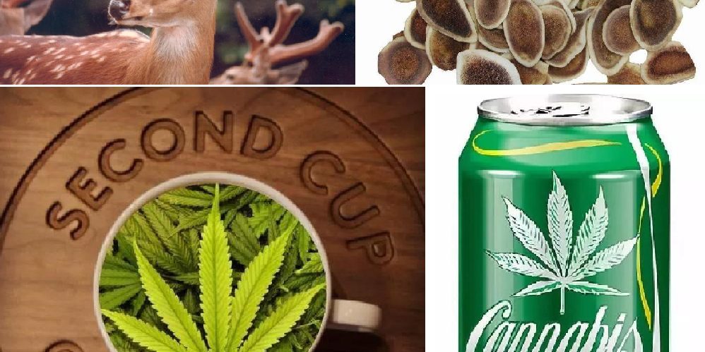 image_gallery-uuid=98cc1af5-1ff6-4f27-bdee-993f9c62a403&groupId=88243&t=1554375387889